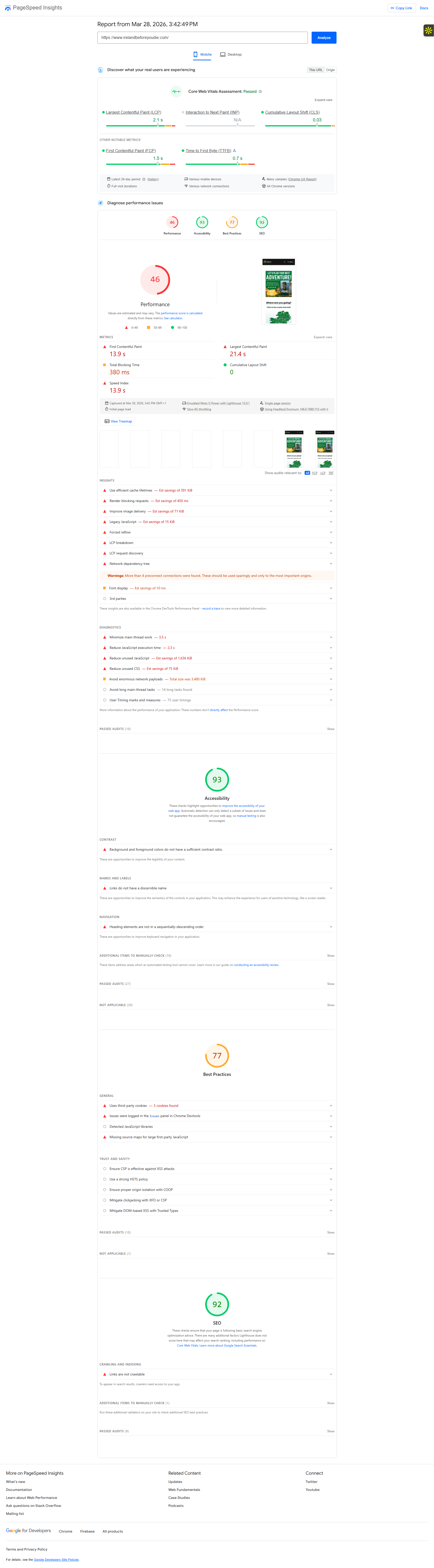 PageSpeed performance report for the Meanwhile in Ireland site.